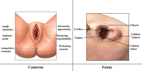 dave cameron's mouth juxtaposed with a fanny