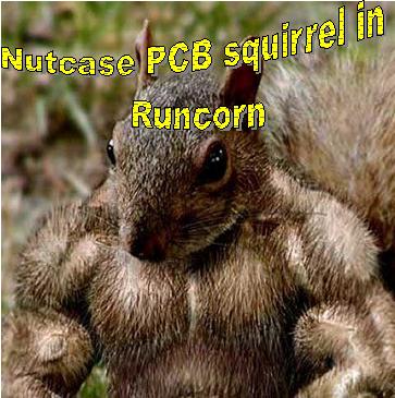 nature and scientific progress collide in Runcorn nature and scientific progress collide in Runcorn